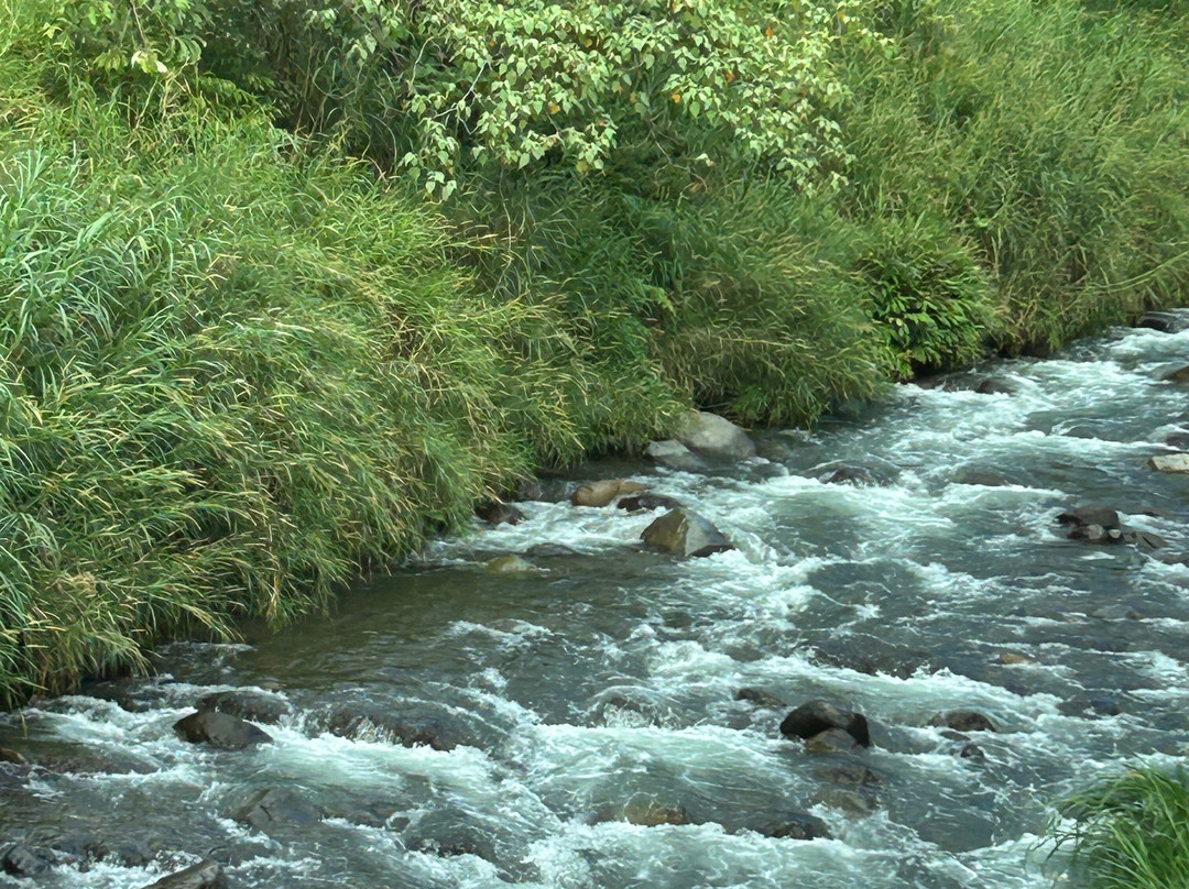 Panama Relocation Tours-波魁特必去景点