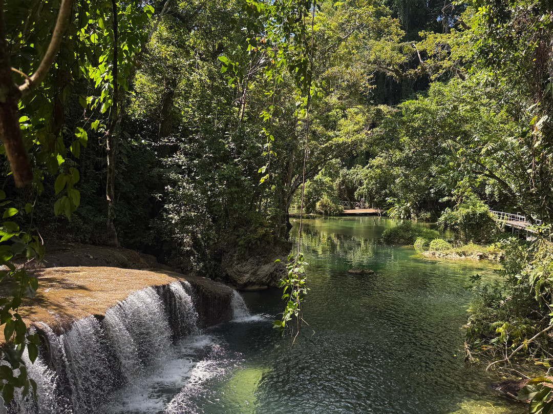 John's Authentic Island Tours-维拉港必去景点