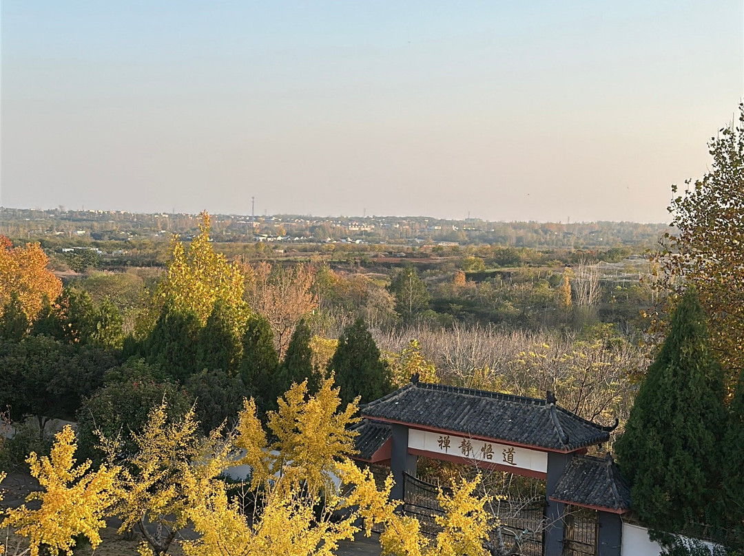 Maling Shaolin Kung Fu Academy-新沂市必去景点