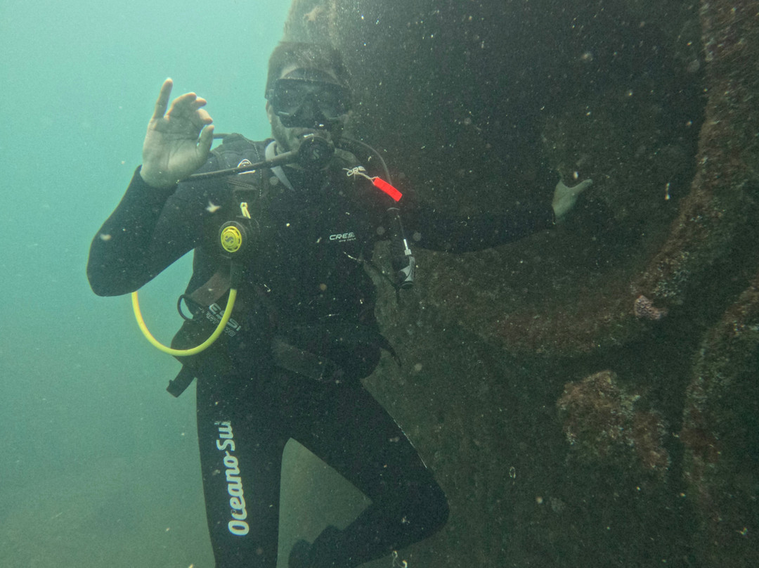 Oceano Sub Mergulho Ilhabela-伊利亚贝拉必去景点