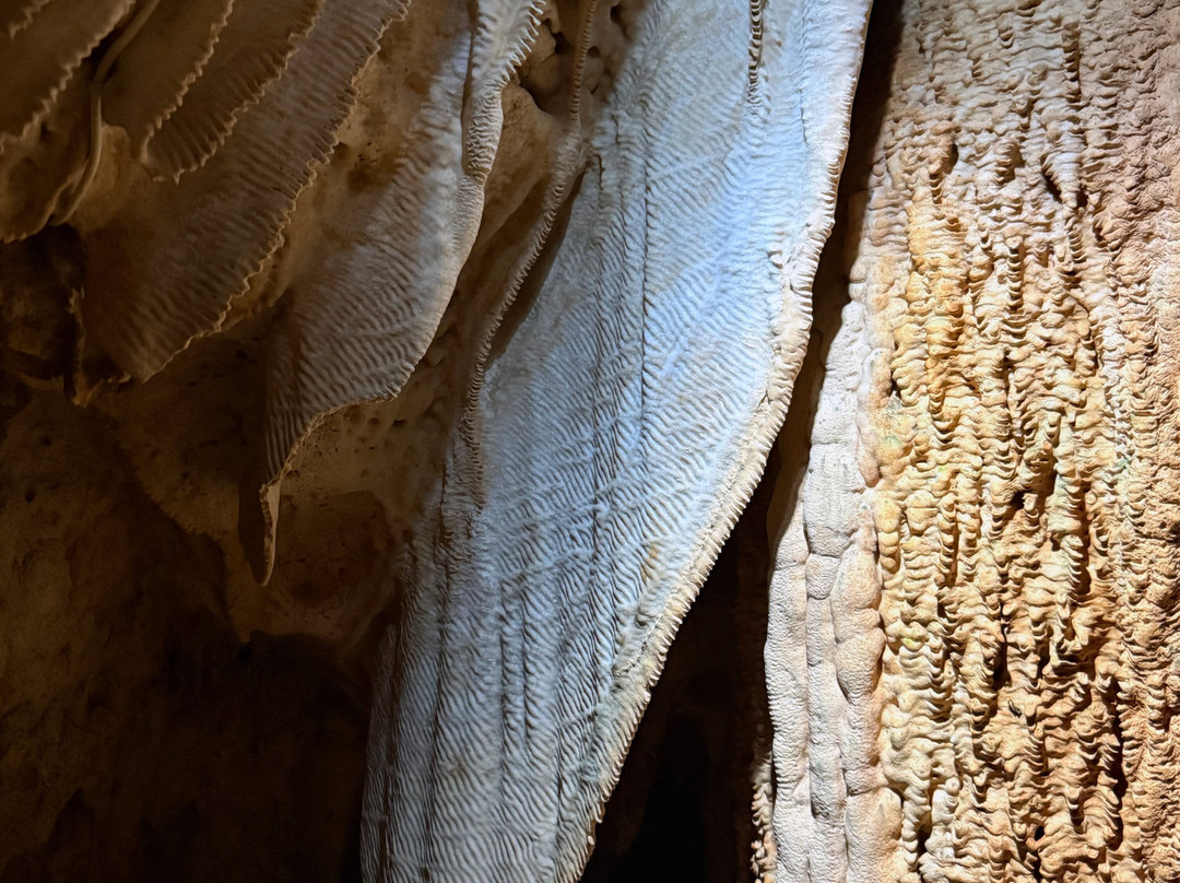 Cayman Crystal Caves-大开曼岛必去景点