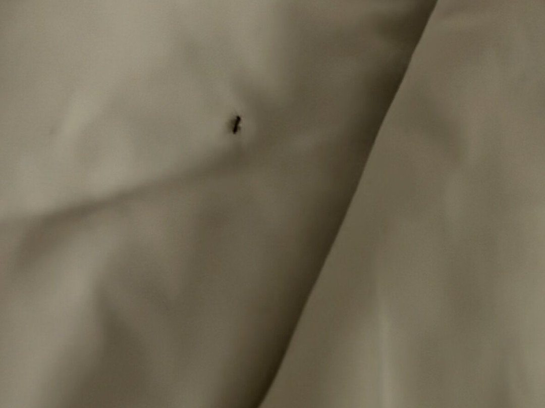 Comfort Inn Birmingham - Irondale主图