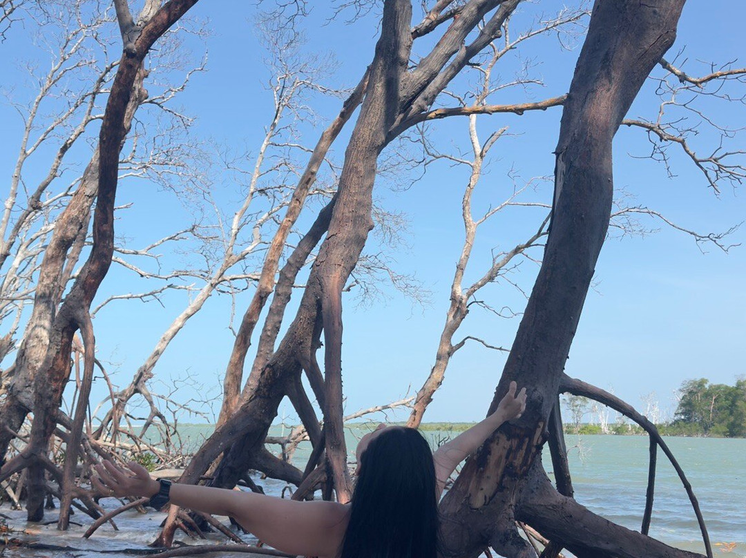 Eco Adventure Tour-Parnaiba必去景点