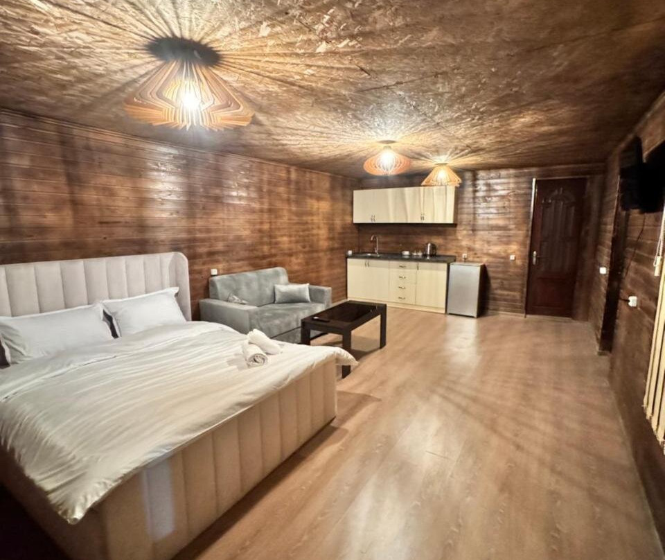 Hovakimyans Hotel And Pool Airport