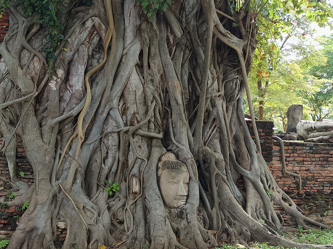 Wat Maha That-童颂必去景点