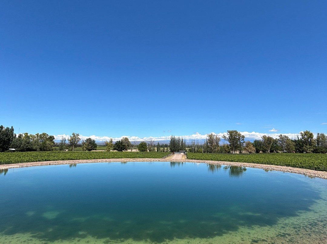 Bodega Budeguer-阿格雷洛必去景点