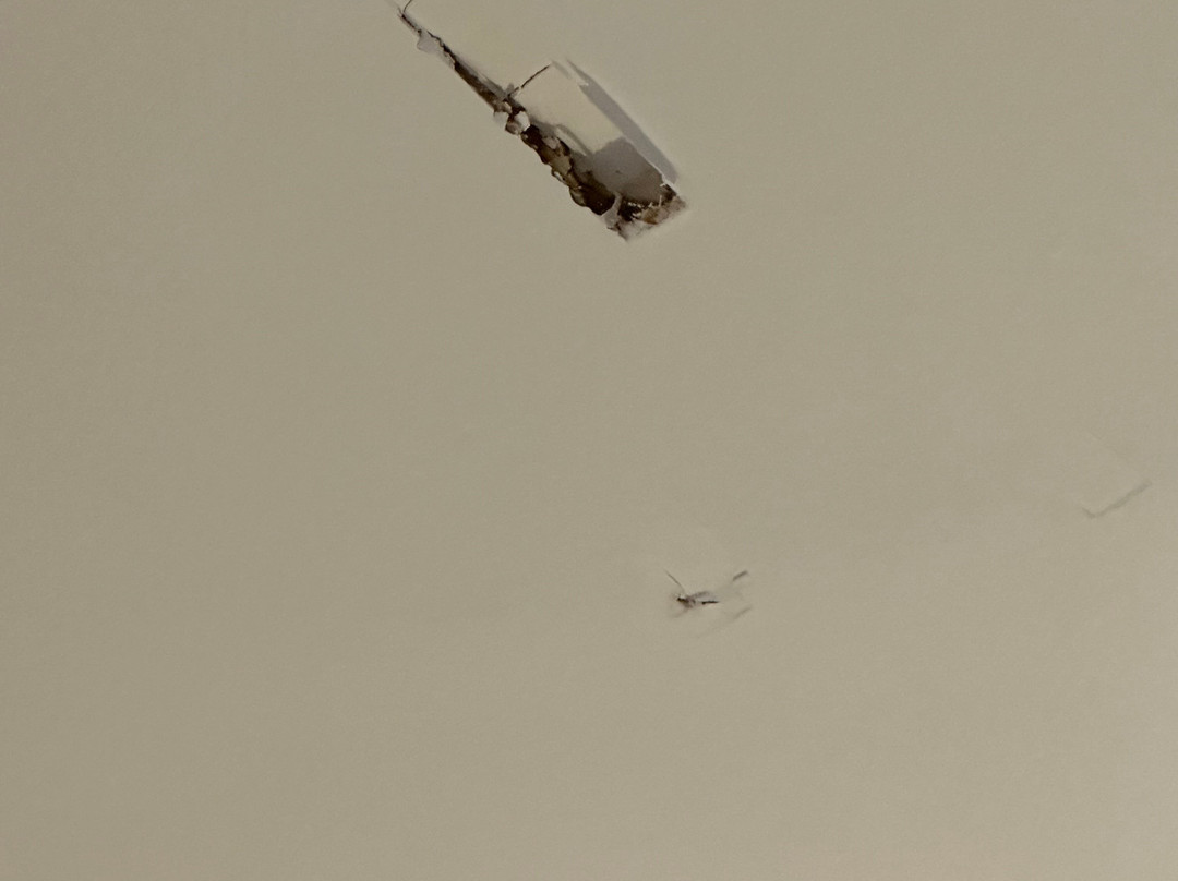 河湾小屋汽车旅馆主图