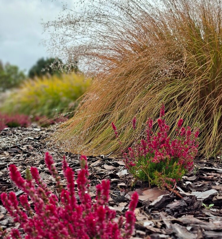 Lausitzer Findlingspark Nochten-Boxberg必去景点