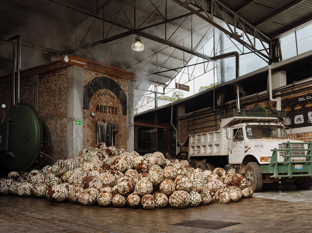 Tequila Arette-特基拉必去景点