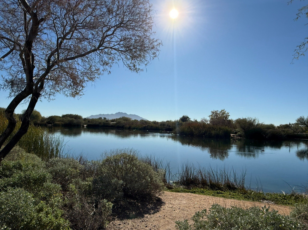 Veterans Oasis Park-钱德勒必去景点