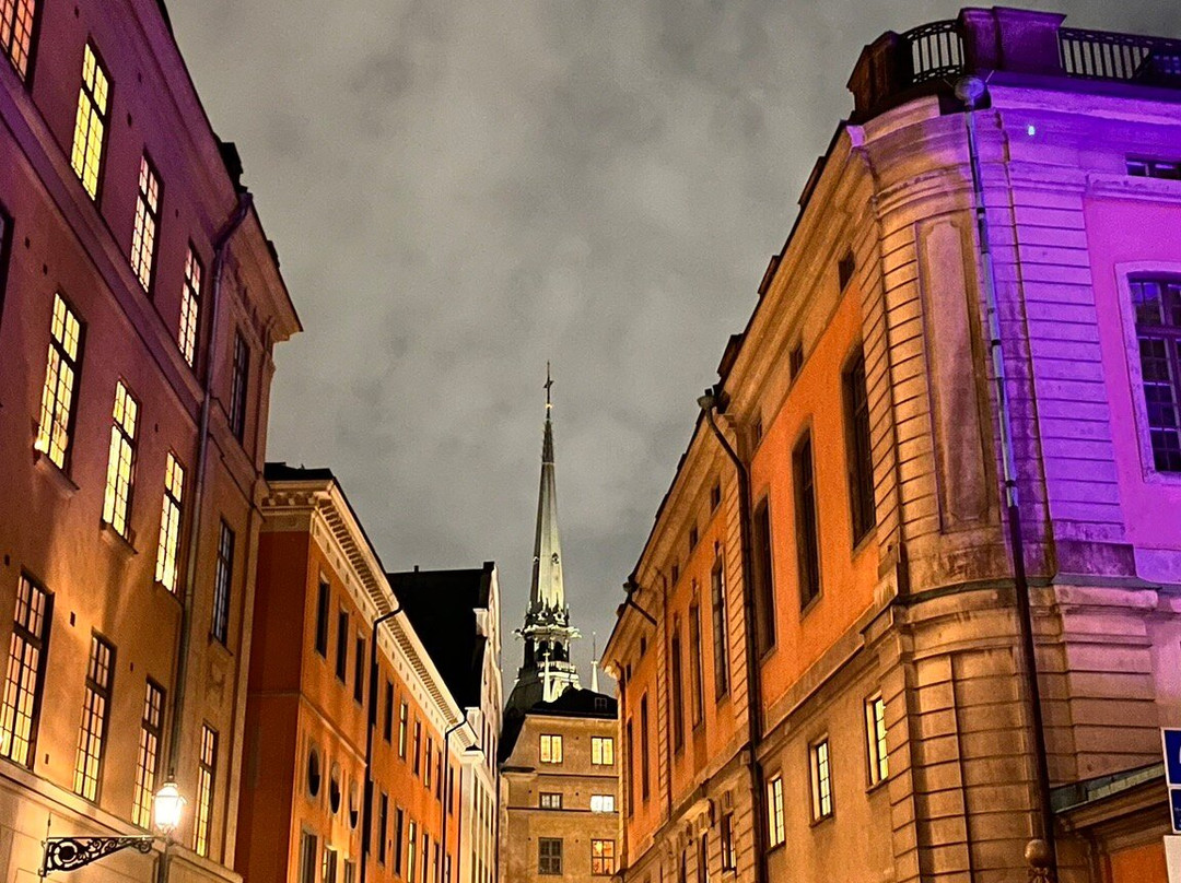 Stoccolma con Mary - visite guidate-斯德哥尔摩必去景点