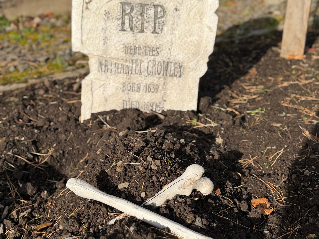 温德米尔布罗克霍尔湖-温德米尔必去景点