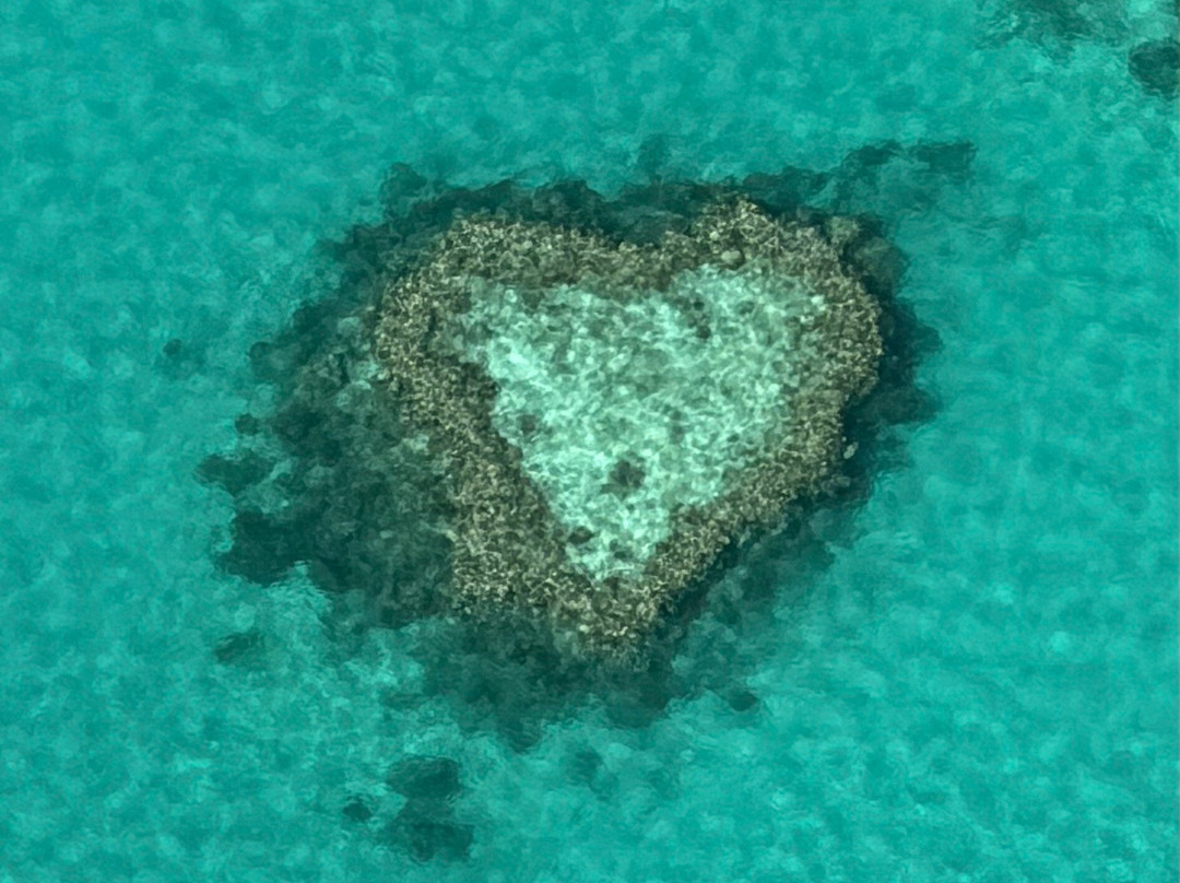 Fly Australia Charter-悉尼必去景点