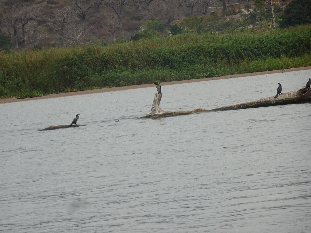 Kwanza River-Muxima必去景点