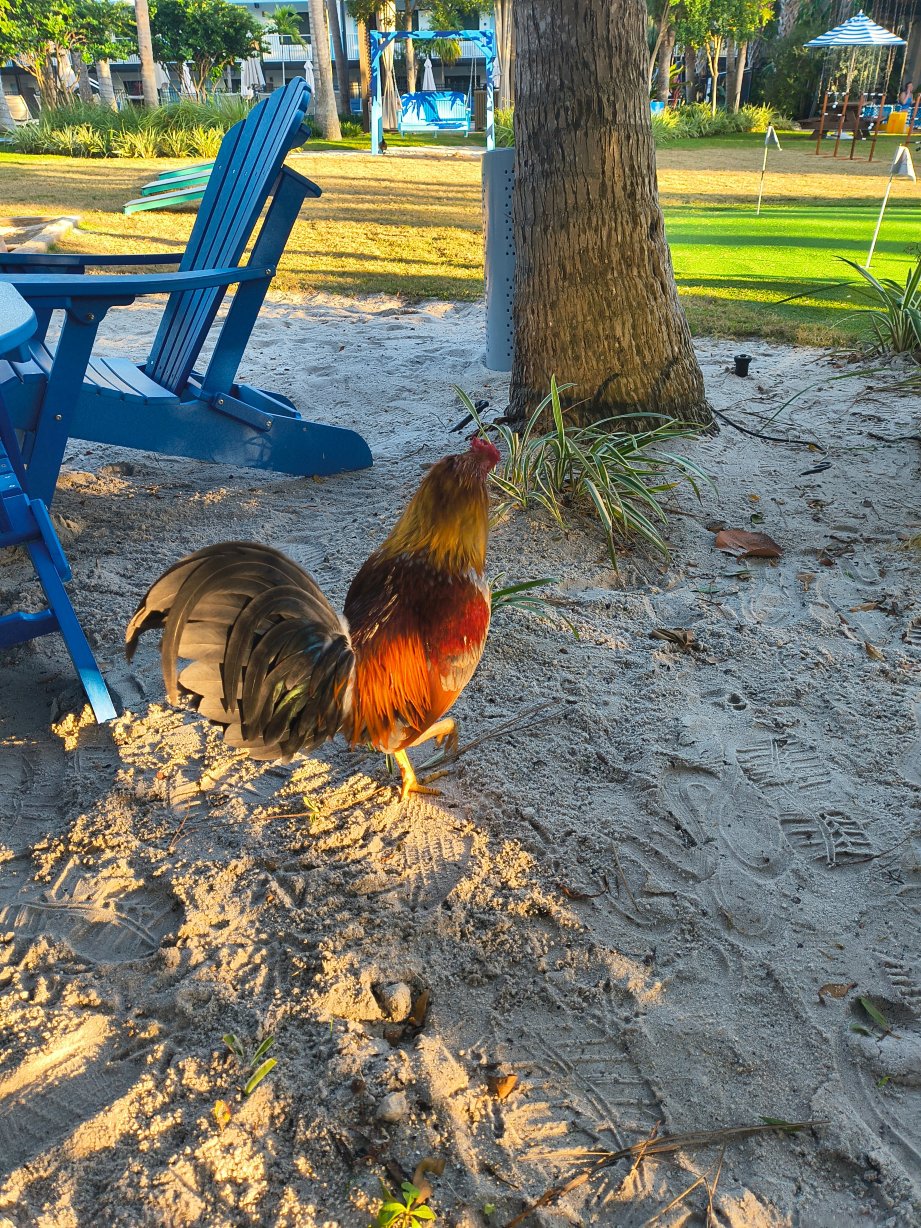 基韦斯特品质酒店-浴室