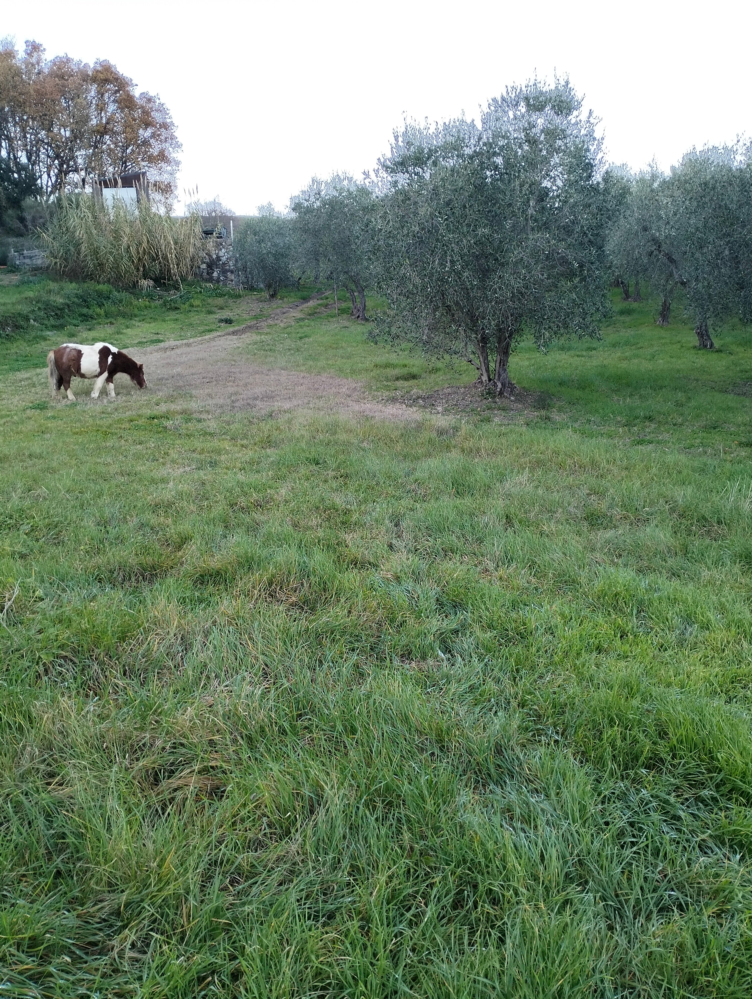 Agriturismo Le Valli-官方