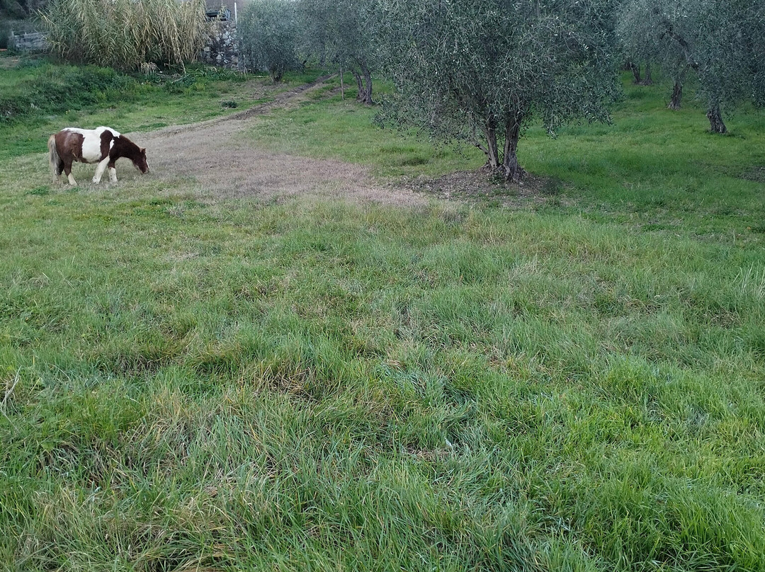 Agriturismo Le Valli主图