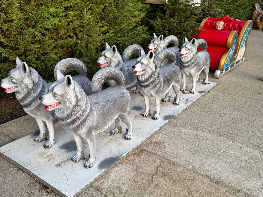 Old MacDonald's Farm-布伦特伍德必去景点