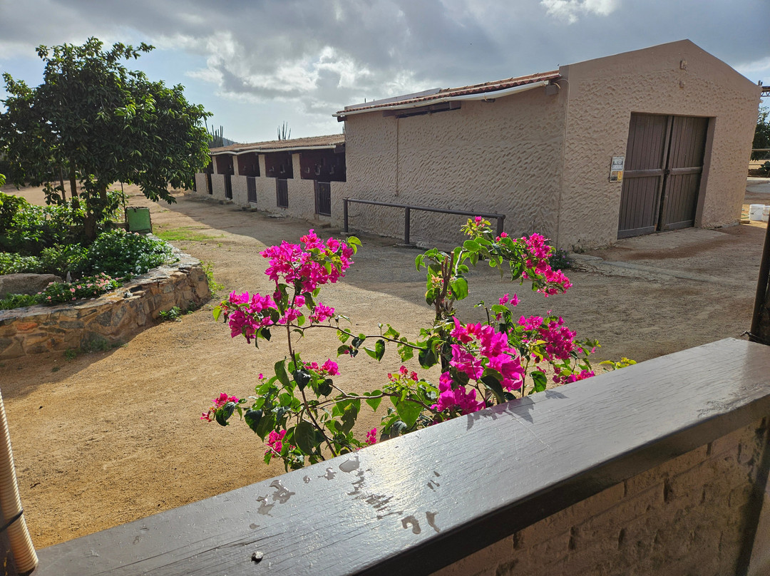 Rancho Loco-Santa Cruz必去景点