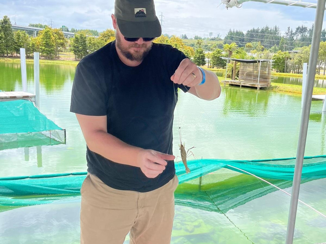 胡卡养虾场-陶波必去景点