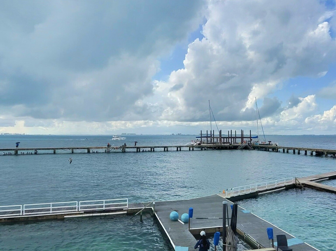 海豚发现秀-女人岛必去景点