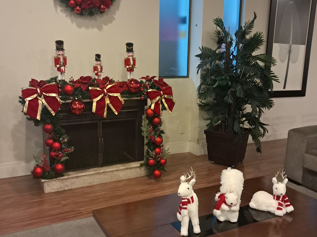 Serra Negra Palace Hotel主图