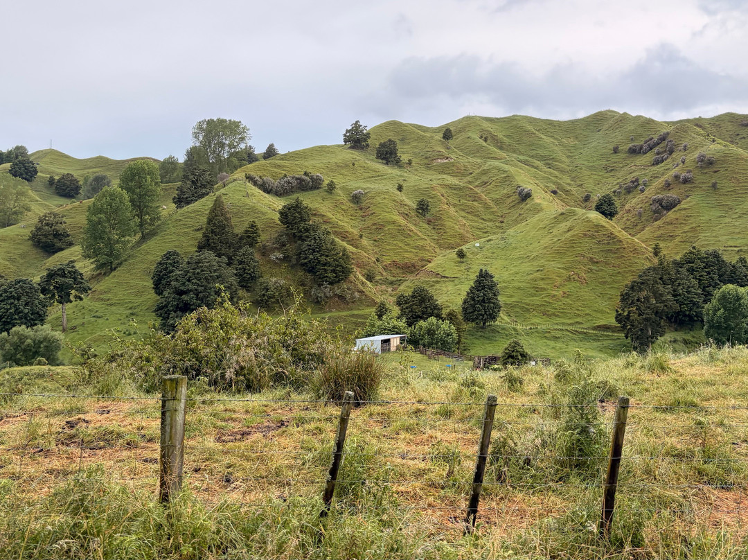 Forgotten World Adventures-Taumarunui必去景点