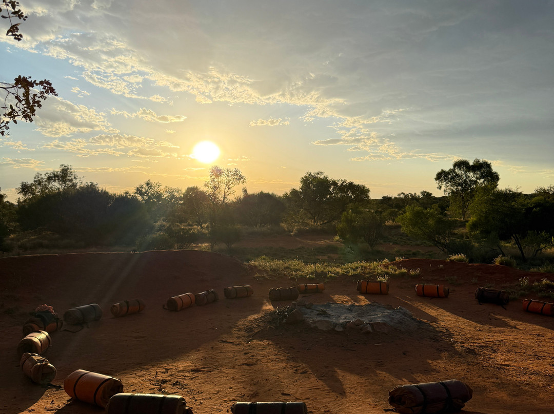 Mulgas Adventures-爱丽斯泉必去景点