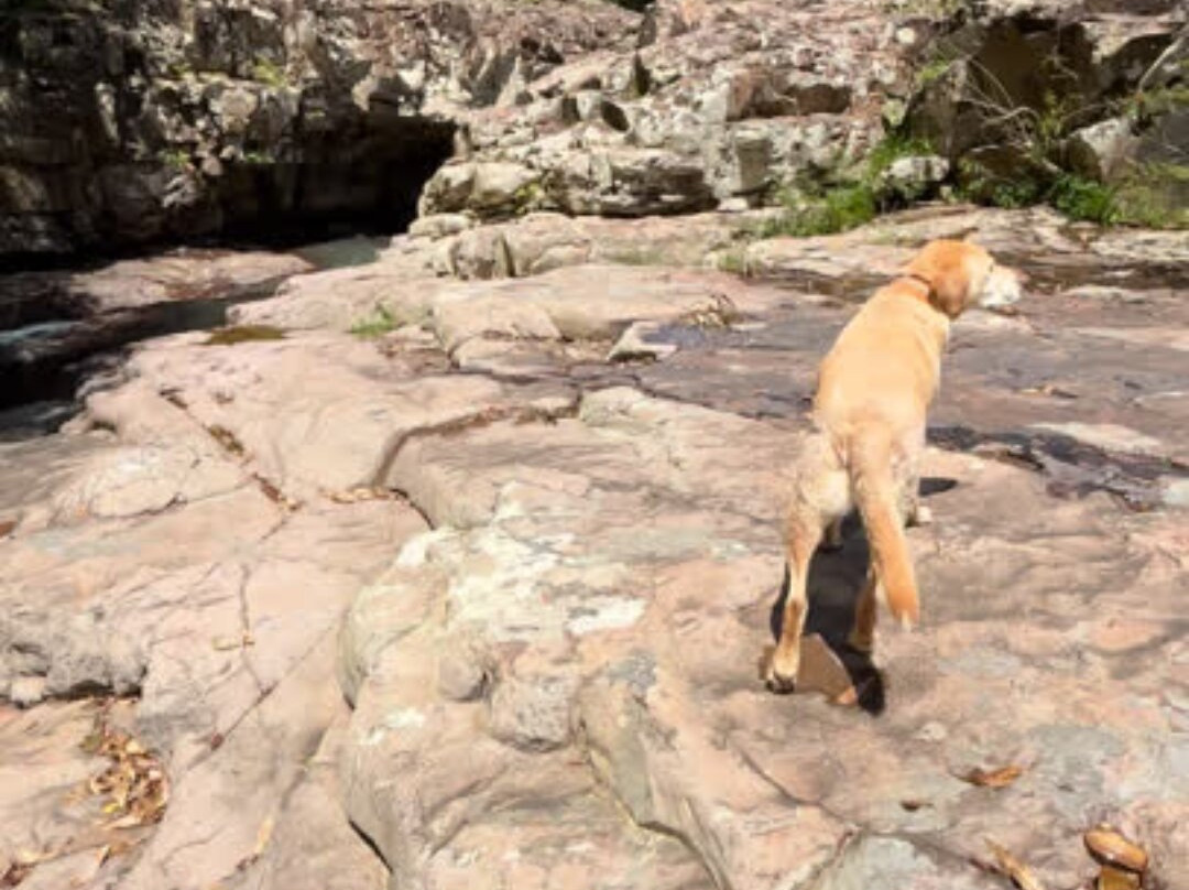 Pedra Furada (Antônio Prado)-Antônio Prado必去景点