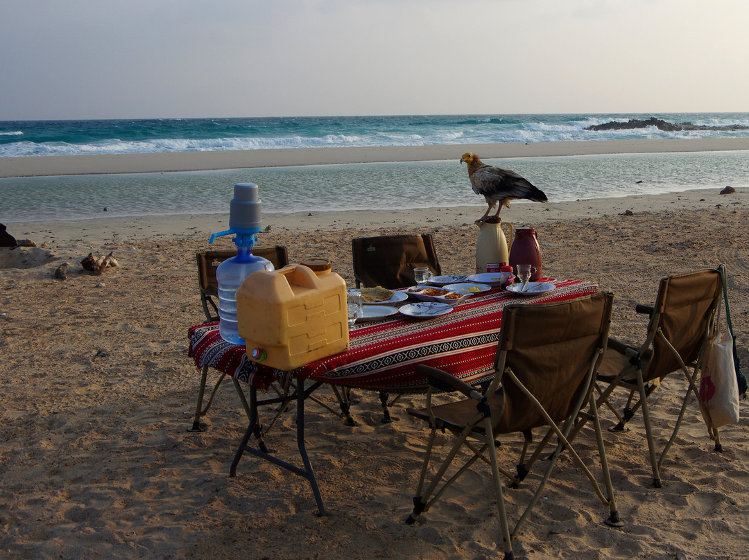 Traveling  Socotra-索科特拉岛必去景点