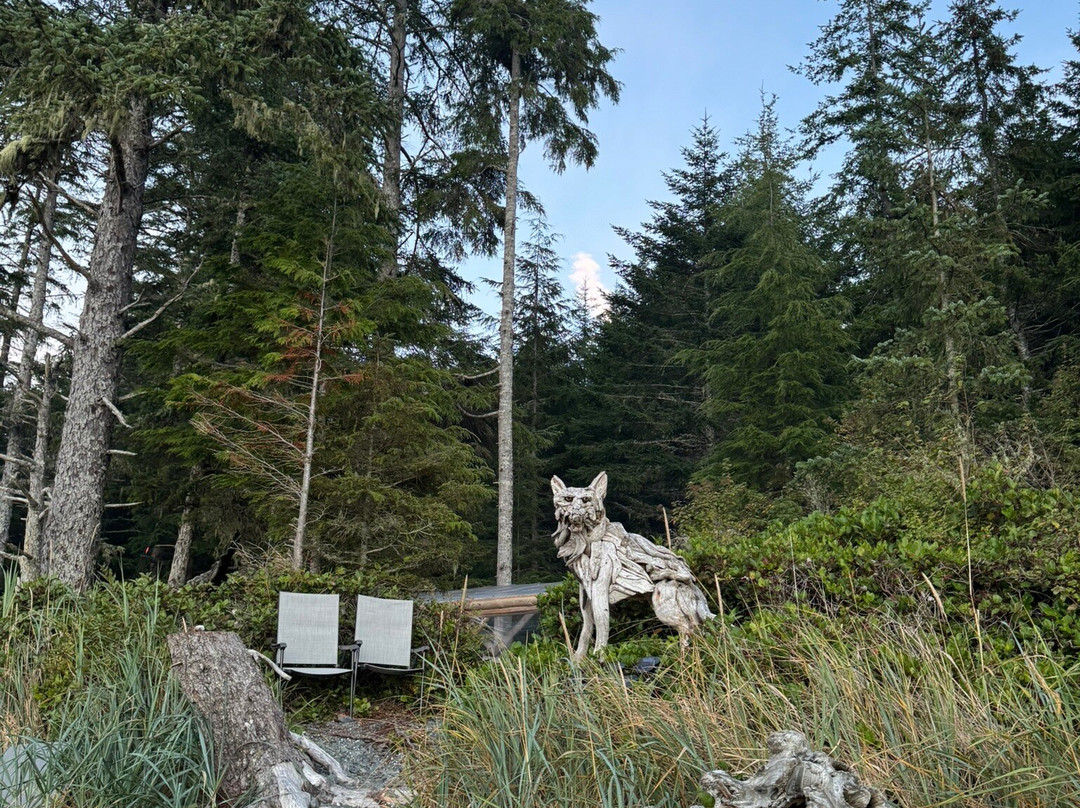 Grey Wolf Expeditions-黑溪必去景点