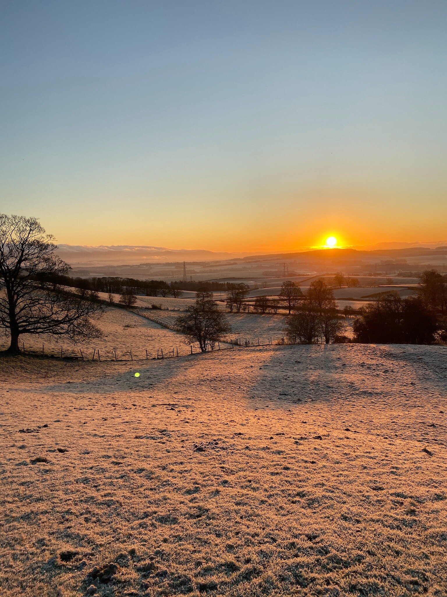 罗德霍恩乡村别墅酒店-官方