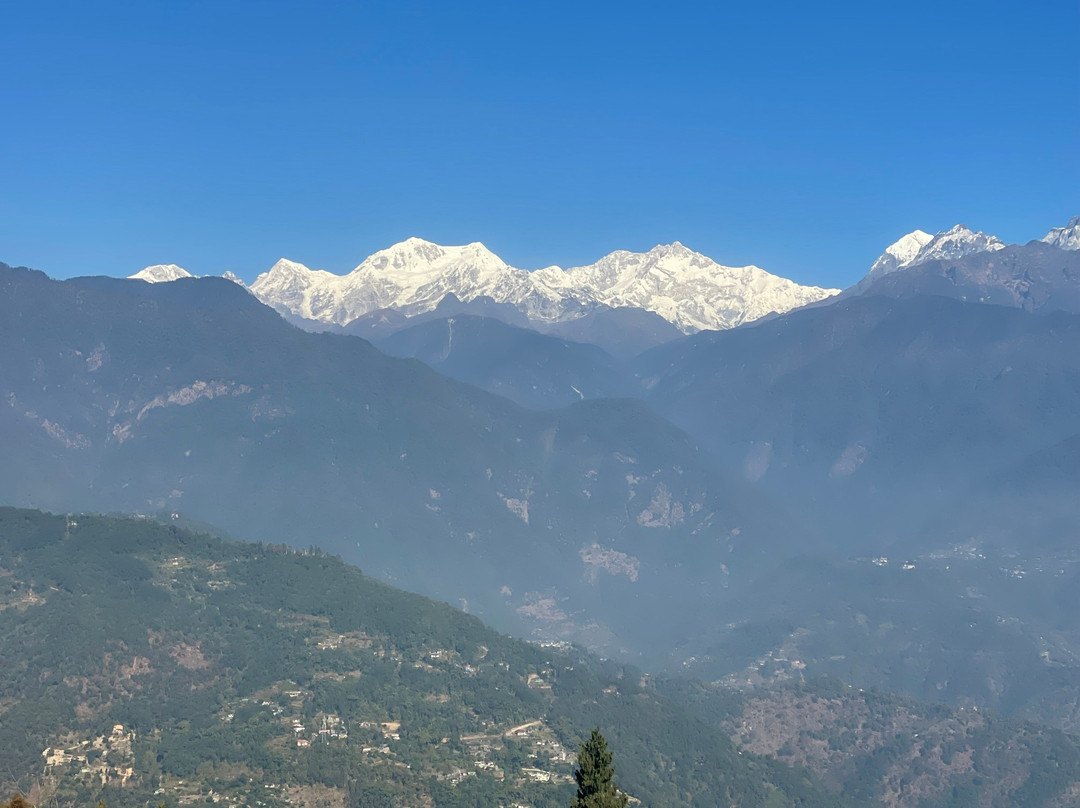 Grains Pure Veg By Udaan Khang-chen View