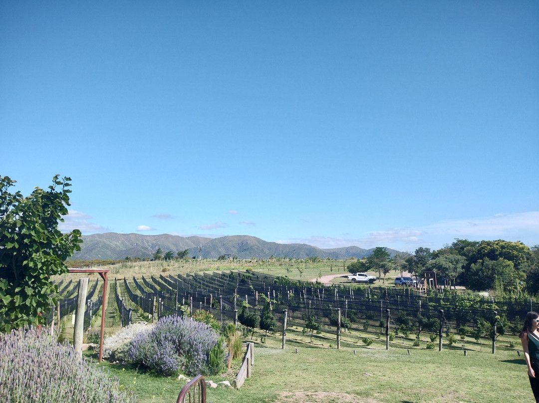 Cordoba Wine Travel-科尔多瓦必去景点