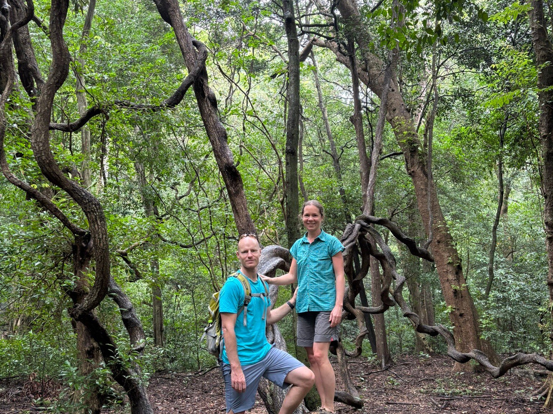Kaludiya Pokuna Nature Walks-锡吉里亚必去景点