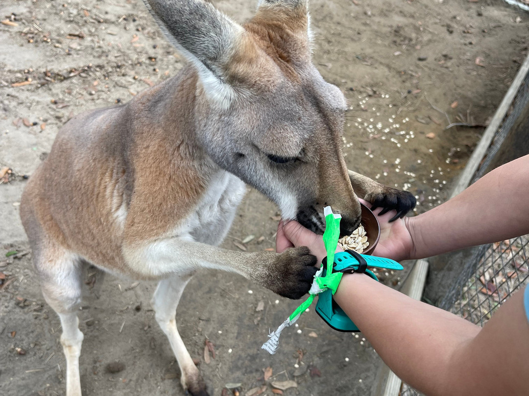 North Florida Wildlife Center-Lamont必去景点