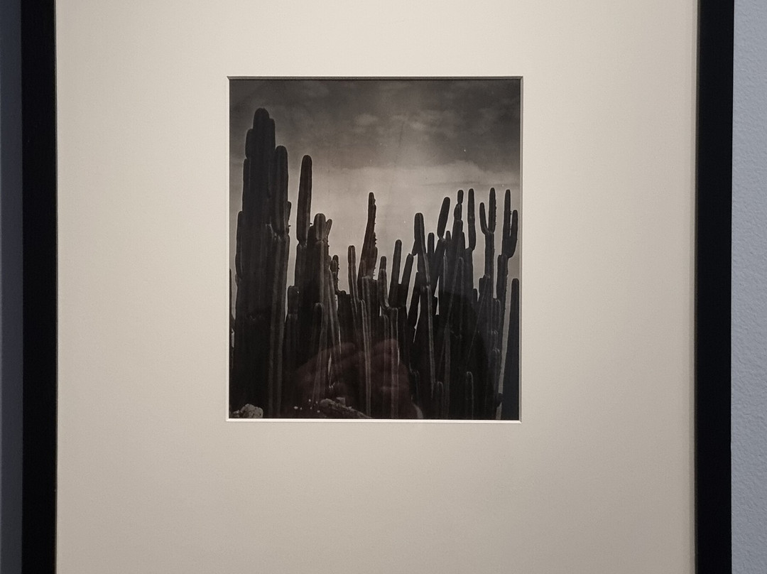 Nouveau Musée National De Monaco-蒙特卡洛必去景点