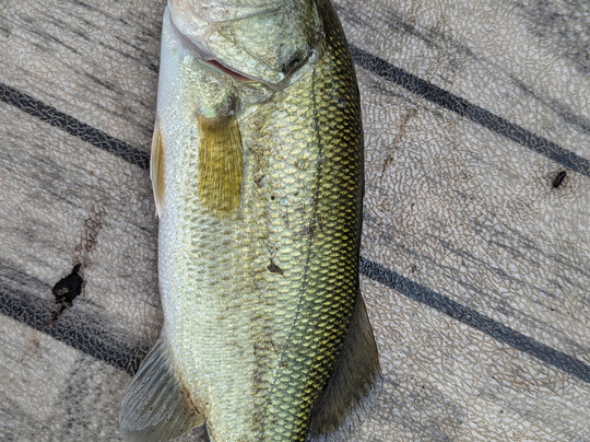 Lake Logan Marina-洛根必去景点