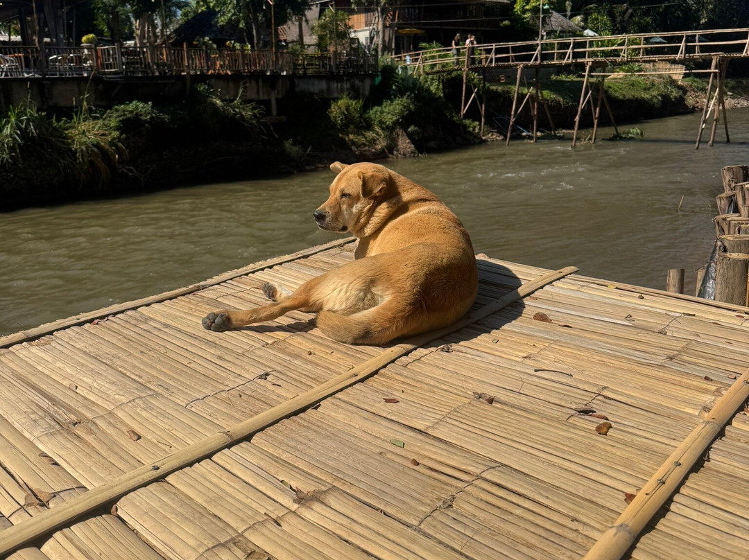 芭派村酒店主图