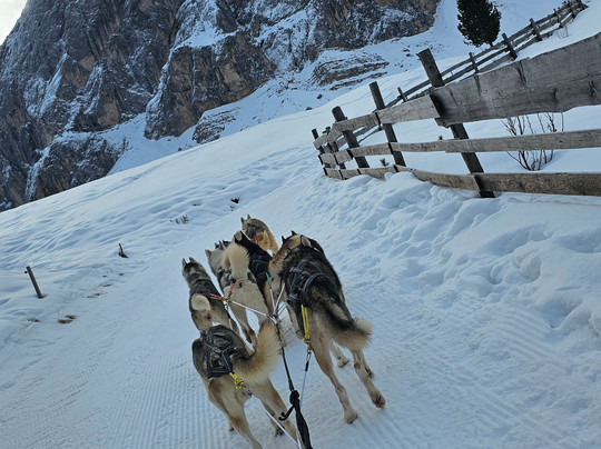 Huskysleddog-San Martino in Badia必去景点