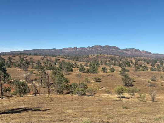 Wallaby Tracks Adventure Tours-阔恩必去景点
