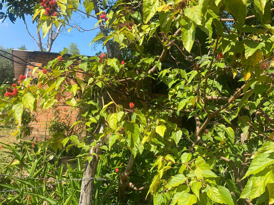 Phu Quoc Countryside-富国岛必去景点
