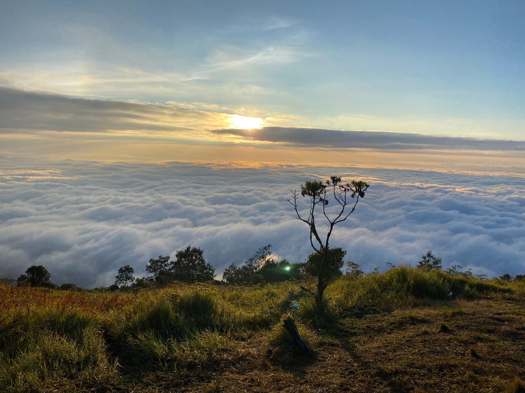 Mount Merbabu National Park-沙拉迪加必去景点
