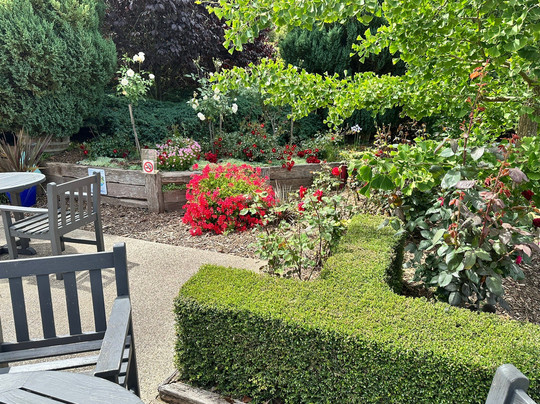 Amour of the Grape Tours-Rosebud必去景点