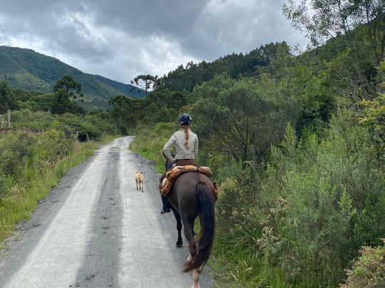 Fruta Fina Orgânicos-Urubici必去景点