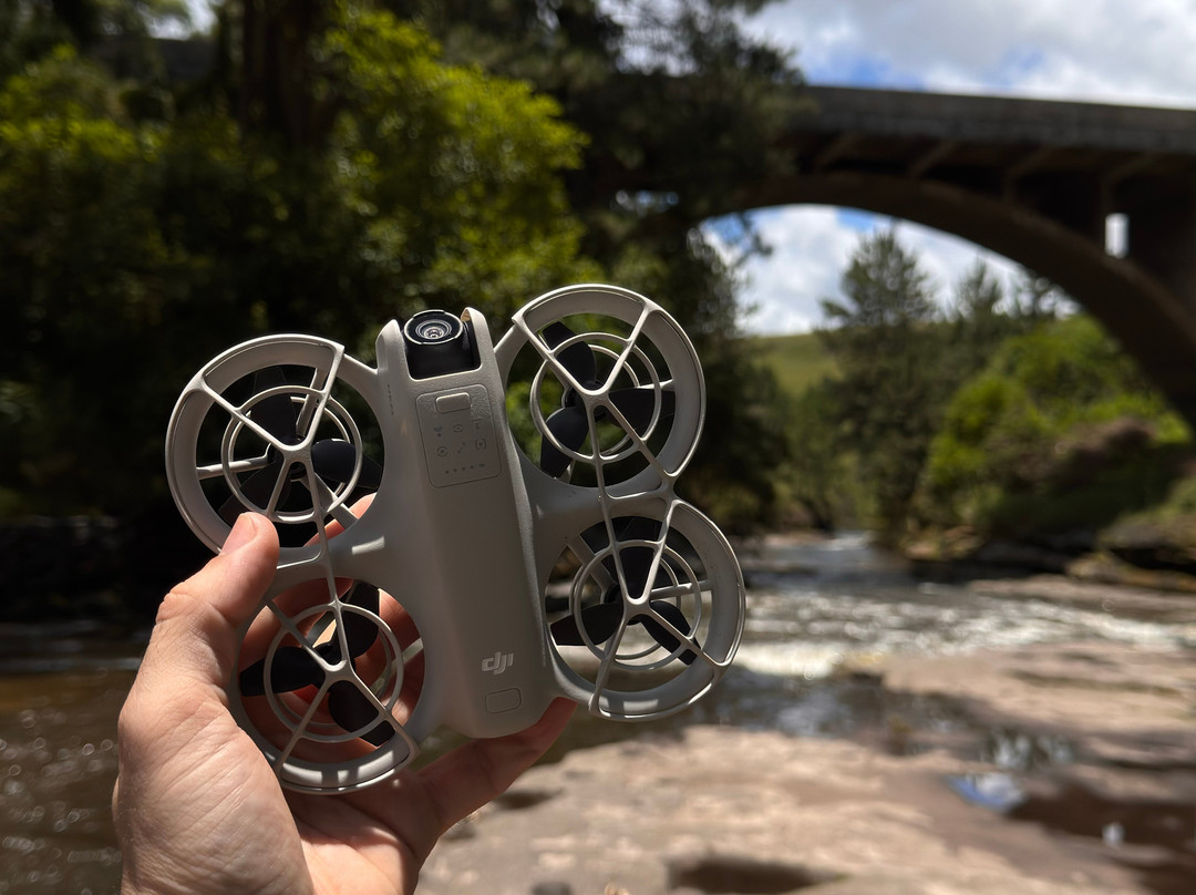 Recanto dos Papagaios-Palmeira必去景点