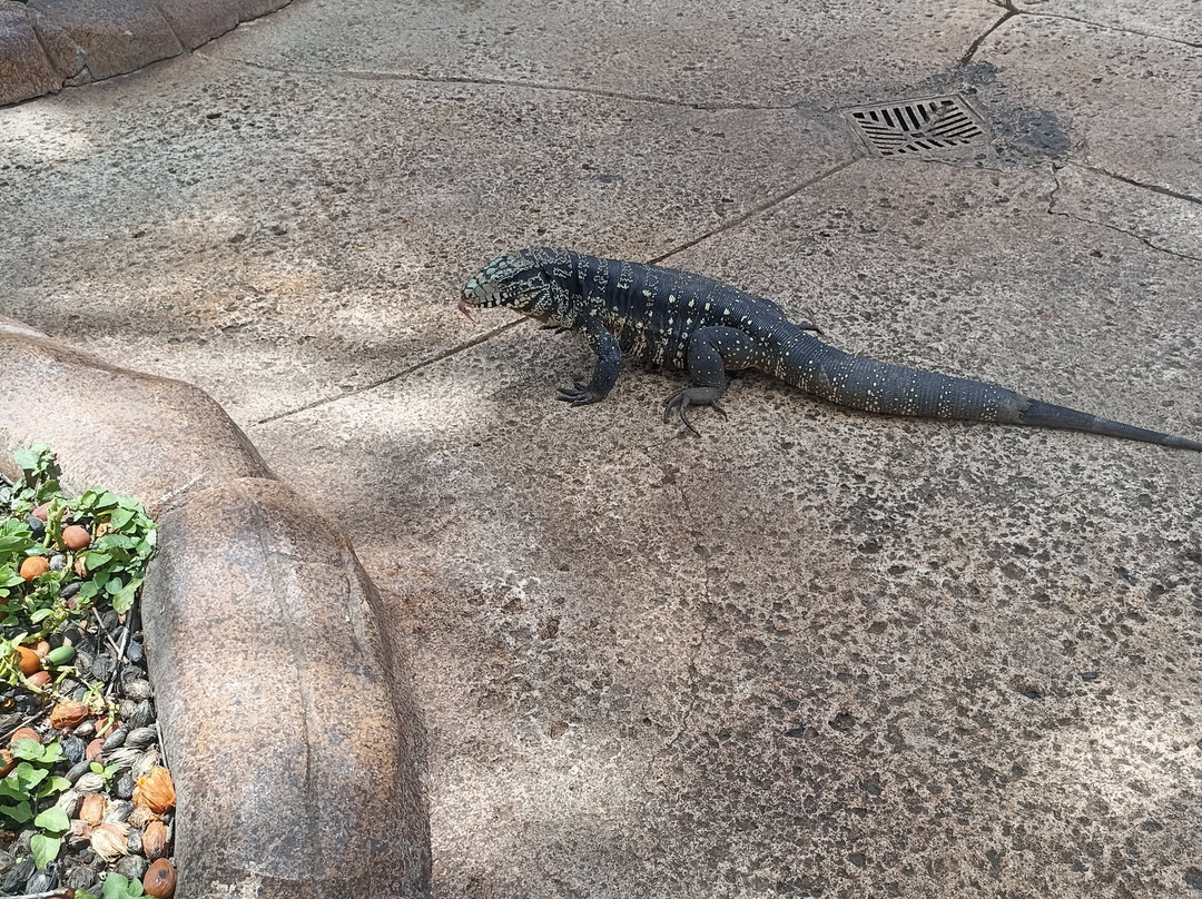 Thermas De São Pedro-Aguas de Sao Pedro必去景点