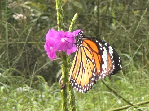Wildnest Travel & Photography-孟买必去景点