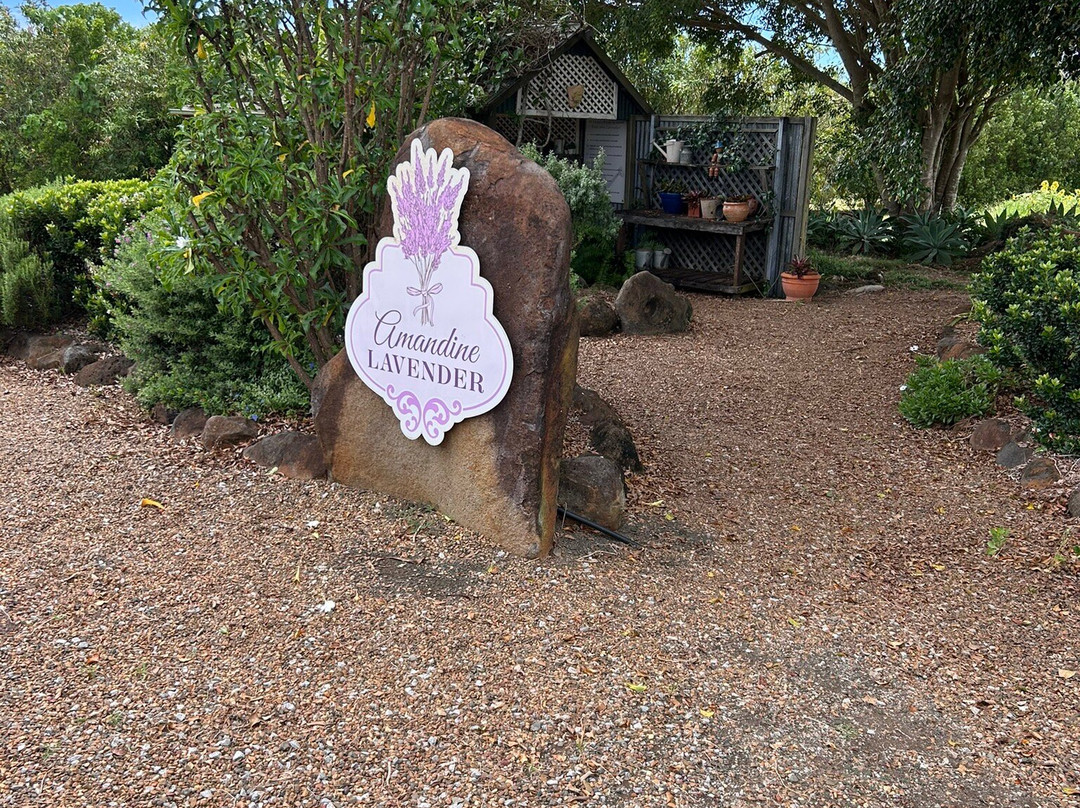 Amandine Lavender-Bargara必去景点