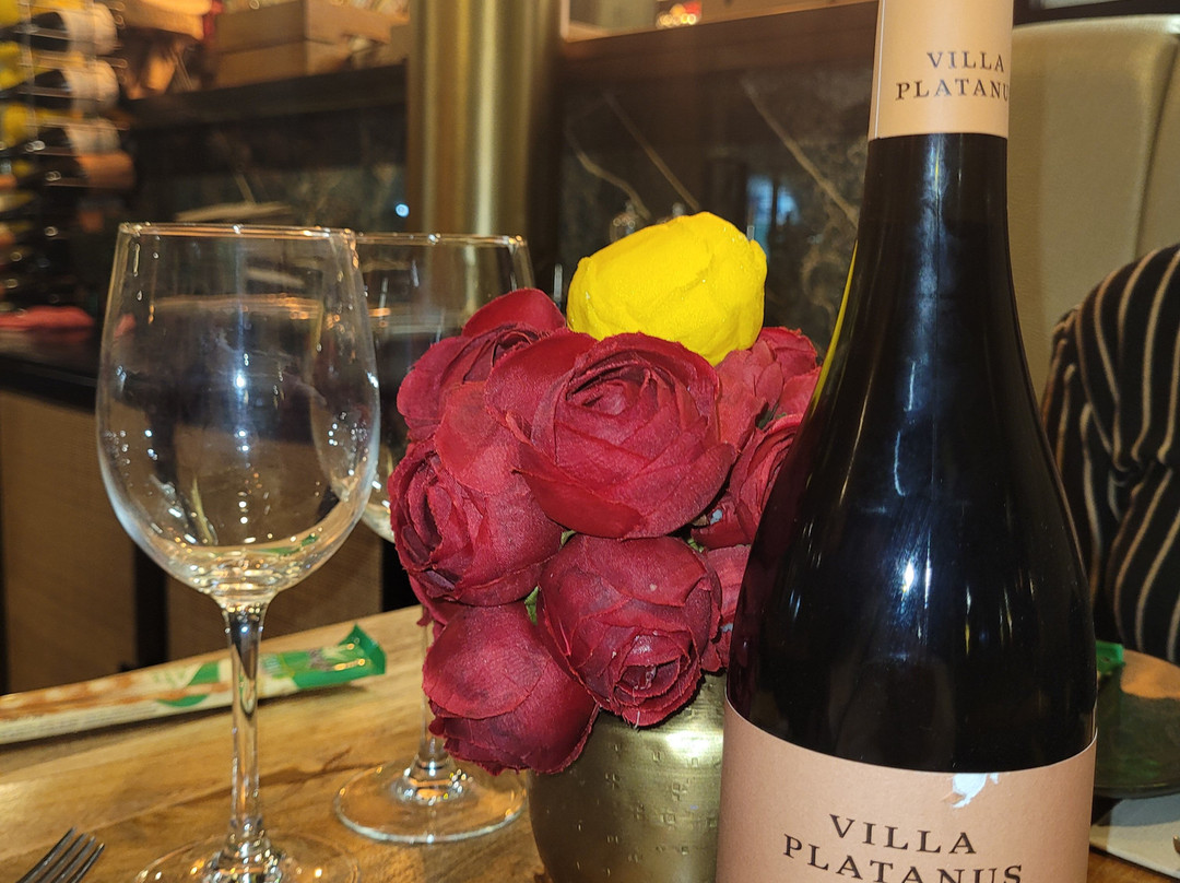 Don Formozzini Santa Marta